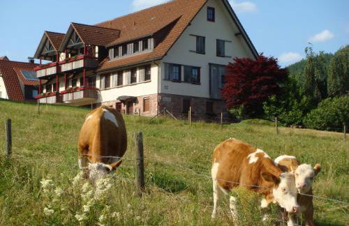 Ferienanlage Freyenhöfe - Foto 15