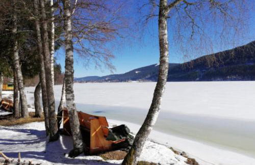 Titisee Haus Vogelnest - Photo 29