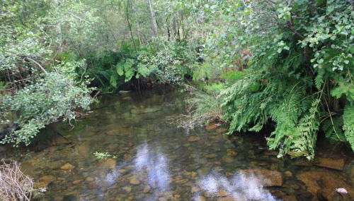 Retiro Da Arminda - Foto 2