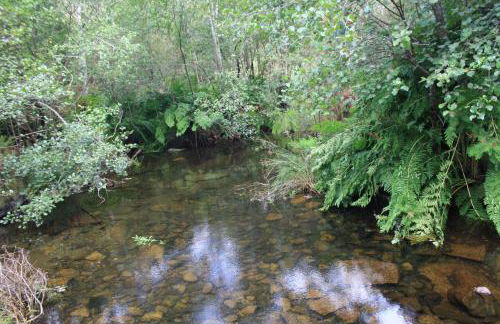 Retiro Da Arminda - Foto 2