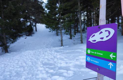 Les Cimes - La Canopée - Foto 11