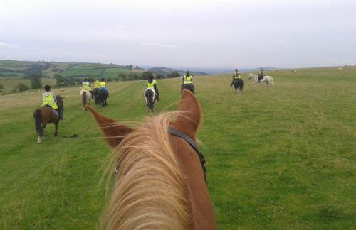 Long Mountain Centre Log Cabins - Foto 42