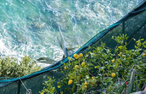 La Lampara Sea View Terrace Apartment With AC - Foto 89