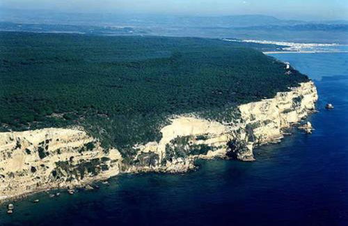 Alma Caños de Meca - Foto 38