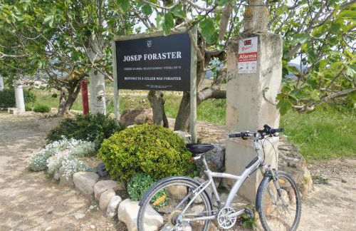 La terrasseta - Foto 42