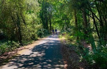 Chez MARIANA - Photo 21