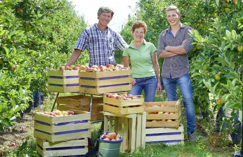 Winzerhof Wörner - Foto 8