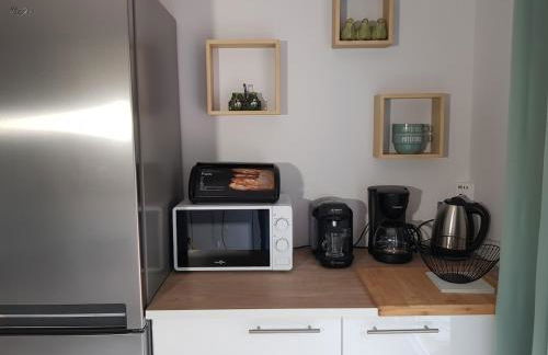 GITE BAS-EN-BASSET, HAUTE-LOIRE, MAISON et JARDIN ATYPIQUE PLEINE NATURE - Foto 5