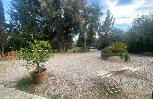 Il Fontino Capalbio - Foto 36