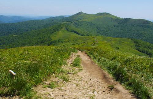 Domek Skowronek z basenem - Foto 33