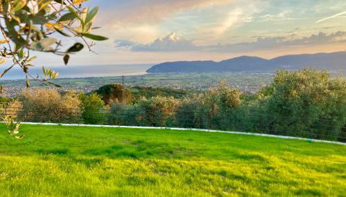 A CASA DI OLIVO - Foto 5