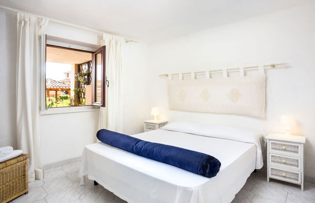 Bougainvillae Trilo Plus - Foto 10