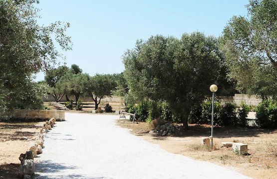 La Trottoria - Photo 24