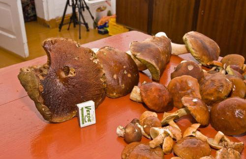 Agroturystyka Sominy - Foto 32