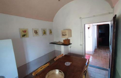 AFFRESCATO - Palazzo Ravaschieri - Foto 12