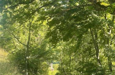 Piè del Colle Country - Foto 21