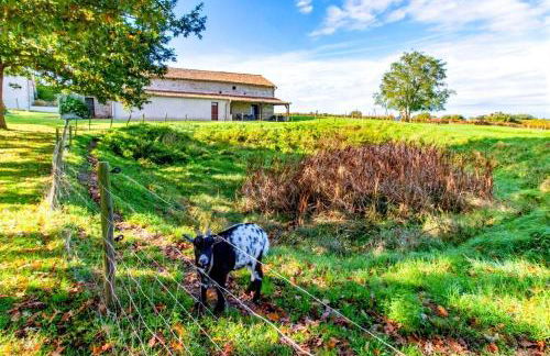 Manoir Les Touches - Gîtes - Photo 13