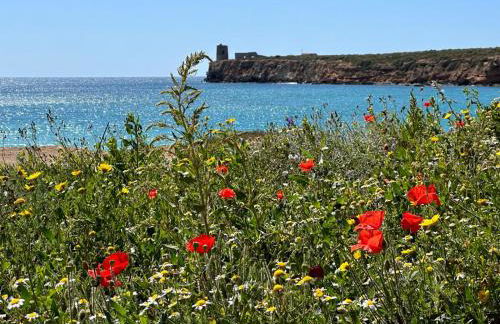 Casa Oristano Mare & Città - Photo 22
