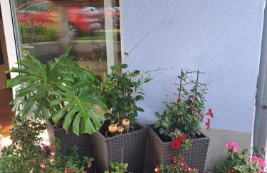 Papa's place - Foto 26