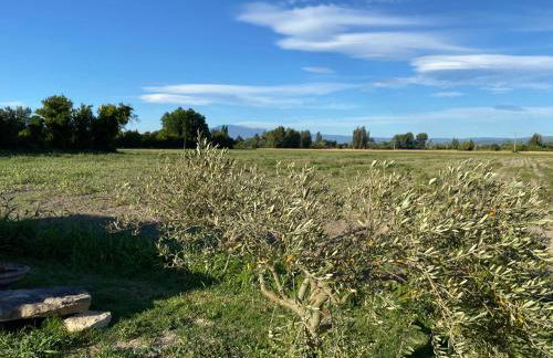 Location gîte campagne en Provence - Vaucluse - Photo 7