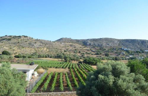 Xenonas Anopolis 2 - Foto 24