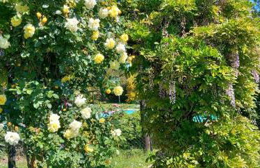 Locanda Rosati - Foto 33