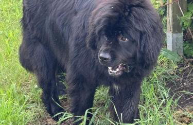 Sea the Blue Garden SPA Odargowo - Foto 35