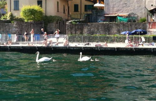 Lake View Apartments - Foto 20