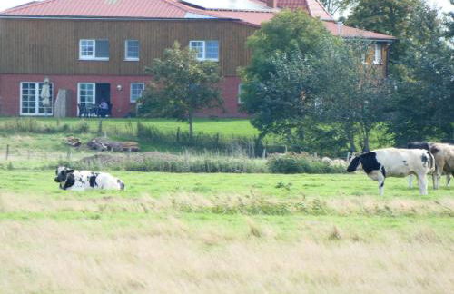 Schäferhof Dircks Fewo 4 - Foto 26