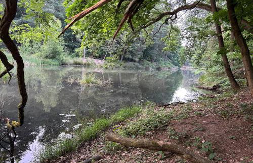 Waldfloß Biberspur - Foto 8