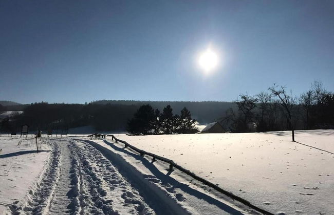 Meadow View Cottage in Winterstein Thuringia near Ski Area - Foto 26