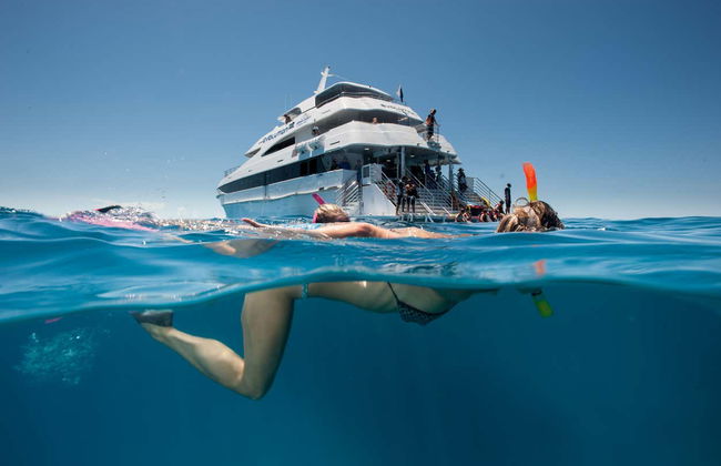 Introduction to Diving in the Great Barrier Reef - Photo 3