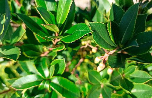 Refúgio de Alburitel - Foto 48