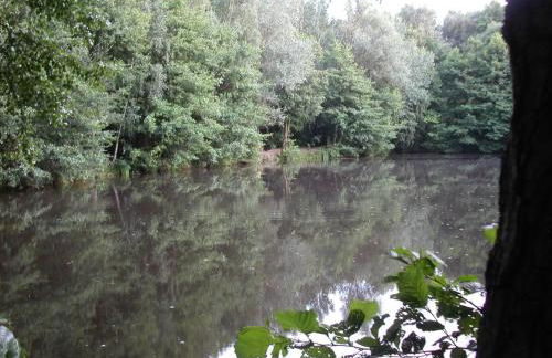 Holiday Home Itzinger by Interhome - Foto 19