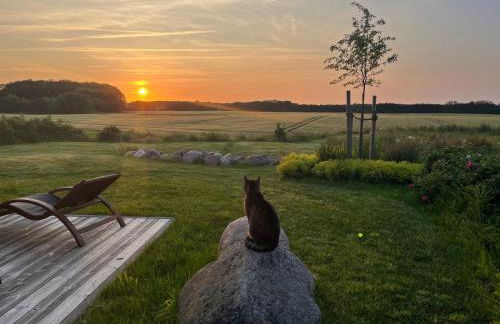 Ostseeseele - Foto 2