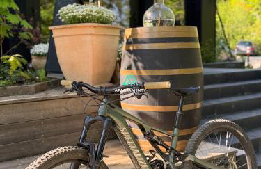 GDZIE BĘDZIE CI LEPIEJ WIOSNA w Beskidach, APARTAMENTY SZYNDZIELNIA w GÓRACH WIDOKOWE & BIZNESOWE & RODZINNE & Parking - Foto 4