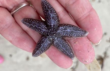 Beautiful cottage in a wonderful Highland setting - Foto 26