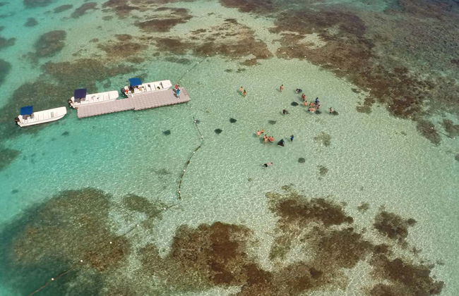Stingray Spotting Experience in Stingray City Antigua - Photo 2