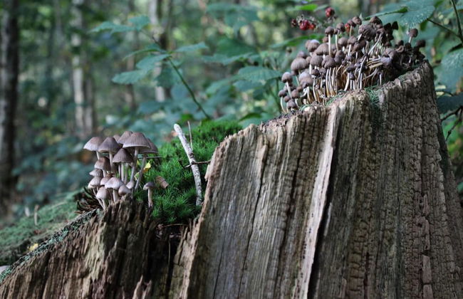 Spacious Holiday Home in Voorhuizen With Terrace - Photo 33
