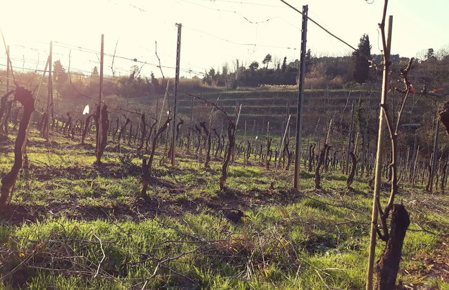 La Torre wine resort - Foto 71