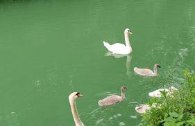 proche gare et centre-ville, parking gratuit et facile, wifi - Foto 23