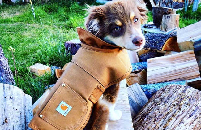 Hannon House - Photo 47