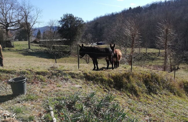 Casa Can Boix - Foto 34