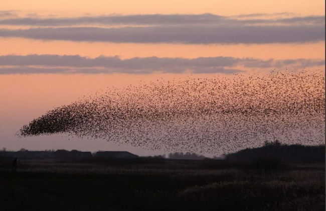 Long Comfortable Holiday Residence - Foto 4