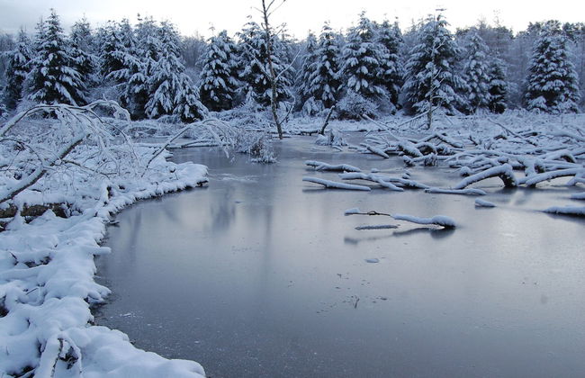 Bamff Ecotourism - Foto 39