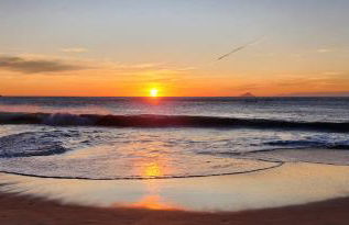 Will Container Experience - Foto 9