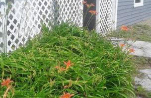 A little Cowboy Cabin by the Badlands! - Foto 6
