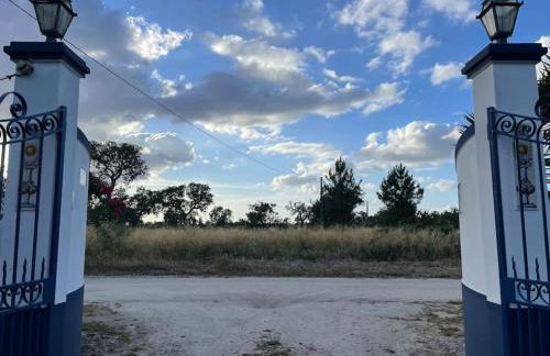 Monte Velho - Country House - Foto 2