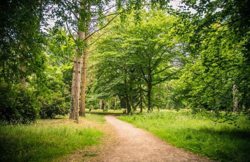 Lynford Holiday Cottages nestled in the heart of Thetford Forest - Foto 54