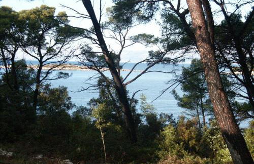Apartments by the sea Pomena, Mljet - 614 - Photo 16